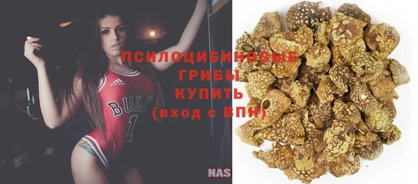 ГАЛЛЮЦИНОГЕННЫЕ ГРИБЫ Бородино