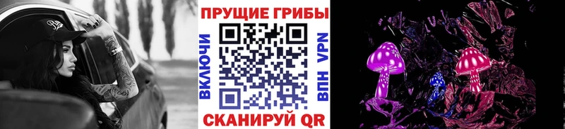 где продают наркотики  blacksprut маркетплейс  Галлюциногенные грибы GOLDEN TEACHER  Берёзовка 